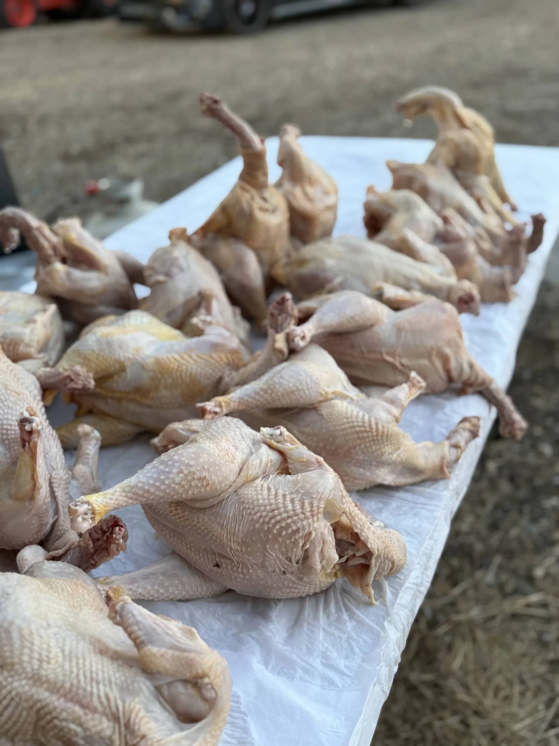 Whole Chicken, 3-4 lbs