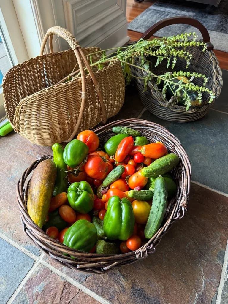 The garden in high summer