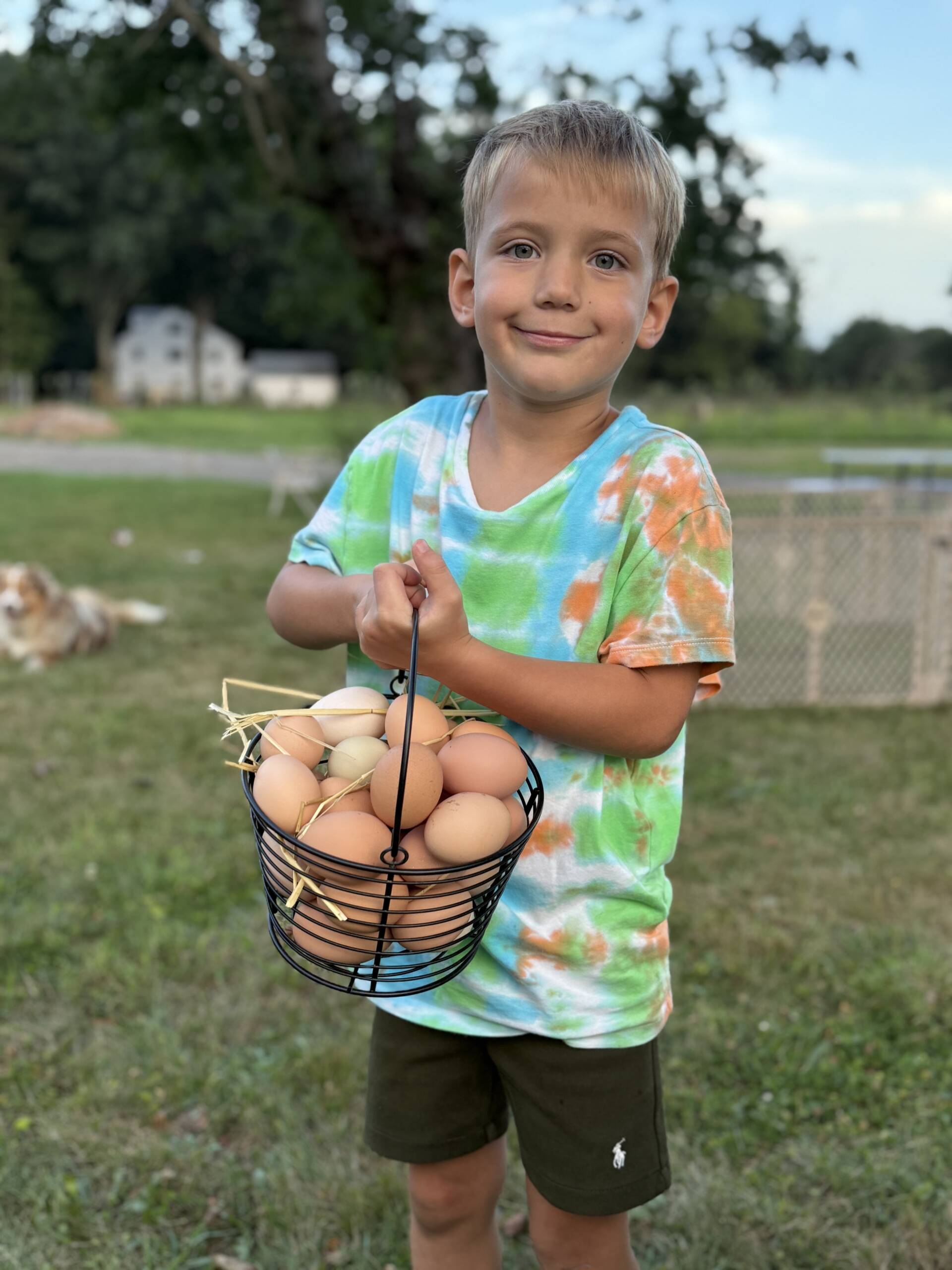 Boy holding basket of fresh eggs at Marlboro Meadows Farm in Marlboro NJ