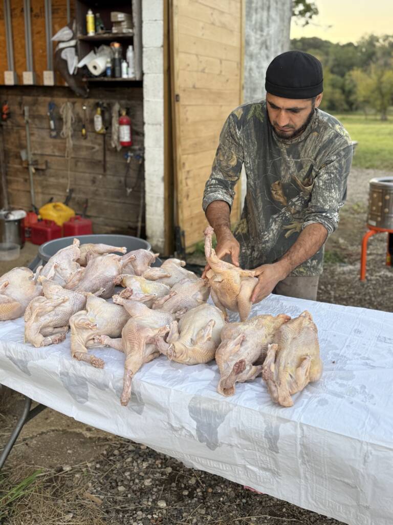 Farm owner processing fresh pasture-raised chickens at Marlboro Meadows Farm in Marlboro NJ